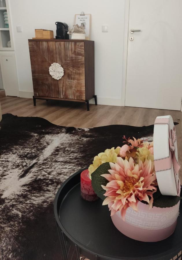 Casa Viela Cega Apartment Viana do Castelo Ngoại thất bức ảnh
